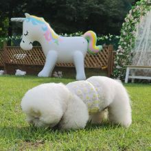 Bichon Frise Puppies Image eClassifieds4U