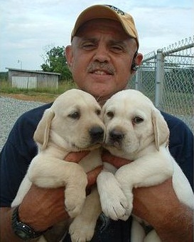 🟥🍁🟥C.K.C MALE AND FEMALE LABRADOODLE PUPPIES 🟥🍁🟥 Image eClassifieds4u