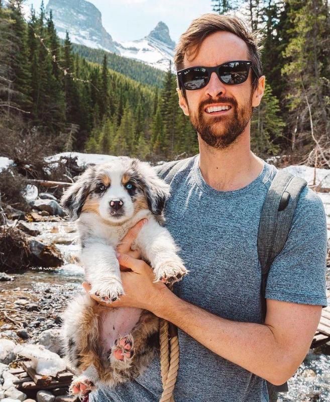 Excellence lovely Male and Female Australia Shepherd Puppies for adoption Image eClassifieds4u
