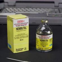 Where to buy  pentobarbital lethal dosage