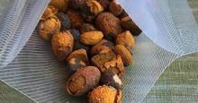 Cow /Ox Gallstones for sale for (wholestone / brokenstone