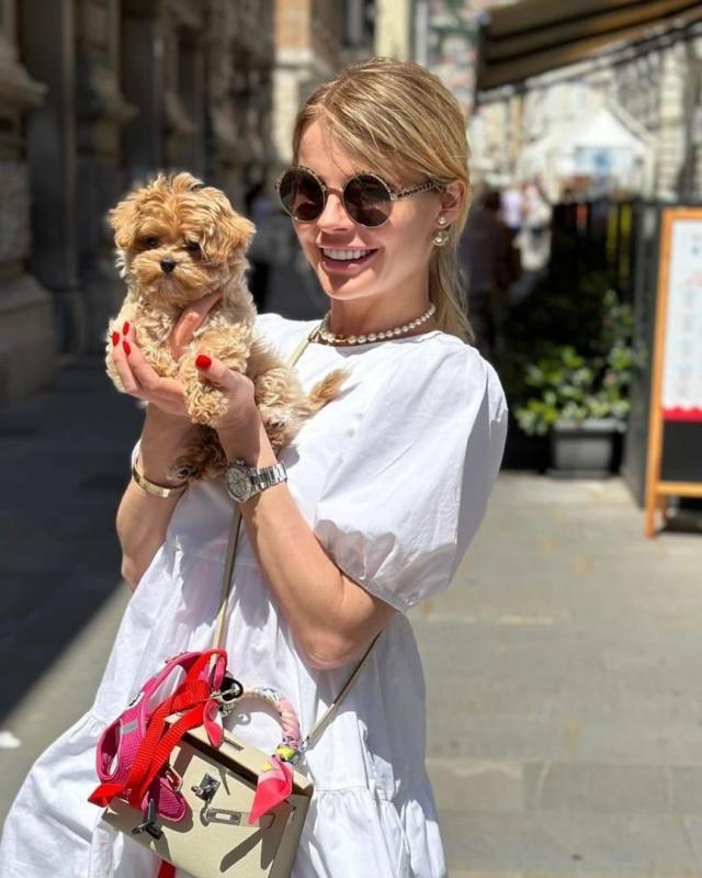 Adorable Teacup Maltipoo Pups Available Image eClassifieds4u