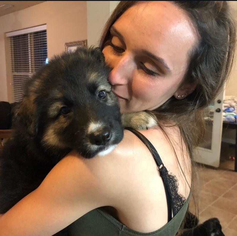 German shepherd puppies for adoption,one male and one female Image eClassifieds4u