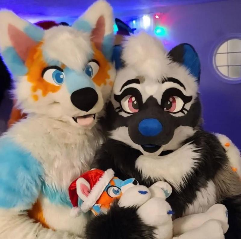 🐺 Premium Fursuits – Made in Canada! Image eClassifieds4u