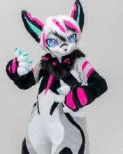Vibrant Fursuits – Bold & Beautiful!