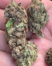 Premium Cannabis available for sale Image eClassifieds4u 3