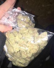 Premium marijuana available for sale Image eClassifieds4u 2