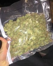 Premium marijuana available for sale Image eClassifieds4u 3