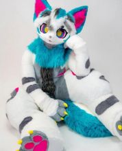 Vibrant Fursuits – Bold & Beautiful! Image eClassifieds4u 3