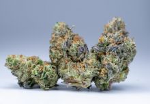 Weed available for sale good price and maximum discretion Image eClassifieds4u 1