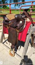 western Saddle available Image eClassifieds4u 2